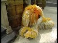 Classic Sesame Street Oscar Puts A Flea On Barkley 1984