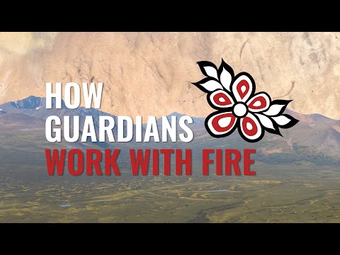 How Guardians Work With Fire