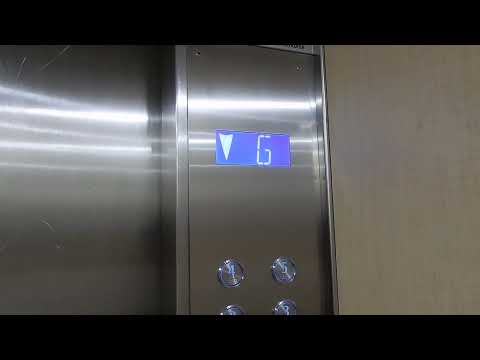 Foregone: Otis Lexan mod. ThyssenKrupp Traction elevators at 38 Cavill Avenue, Surfers Paradise, QLD