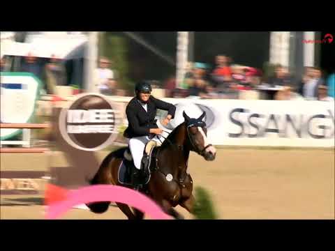 CASCADELLO BOY: jumping stallion by Cascadello - Casall, www.equine-evolution.com