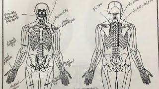 Gianna Bryant Autopsy Report