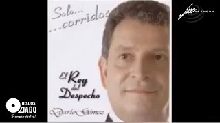 Entre Humo Y Cerveza Lyrics English Translation