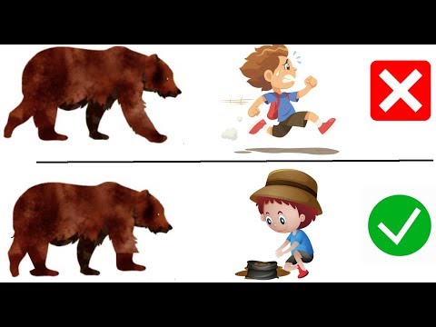 Top 12 Ways to Survive Animal Attacks