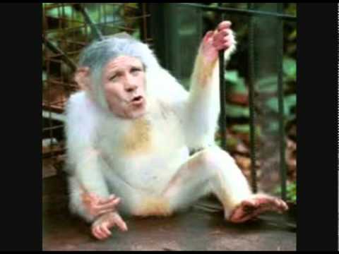 COULD HAVE BEEN BORN A MACKEM