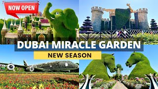 🇦🇪 DUBAI MIRACLE GARDEN is Finally Back!! | 4K (Full Walking Tour) New Season! | Dubai City - UAE!