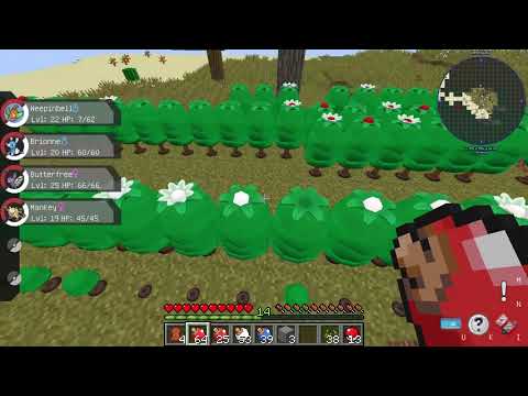 COMPREI MEU TERRENO POKÉMON - TREINADORES #4