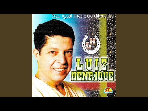 Amor Sem Fim Nechivile - Luiz Henrique