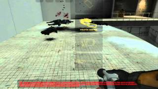Half-Life 2: Missing Information - All + Cut Weapons