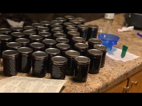 download lagu mp3 mp4 Blackberry Jelly With Pectin, download lagu Blackberry Jelly With Pectin gratis, unduh video klip Blackberry Jelly With Pectin