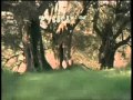 Virgin Territory Trailer 2007