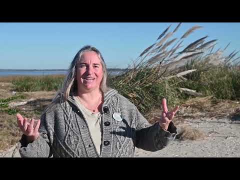 LARREGUI - RESERVA NATURAL PLAYA PENINO - SAN JOSÉ - BLOQUE 8 SABADO 15 Y DOMINGO 16 DE NOV. DE 2025