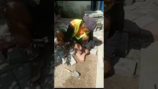 Download lagu #jatim #suroboyoan #tiktok #ngakak mp3 Download lagu #jatim #suroboyoan #tiktok #ngakak mp3