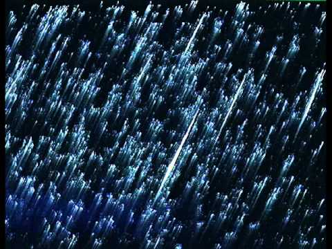 Fratii Wagner amare lacrimi sunt