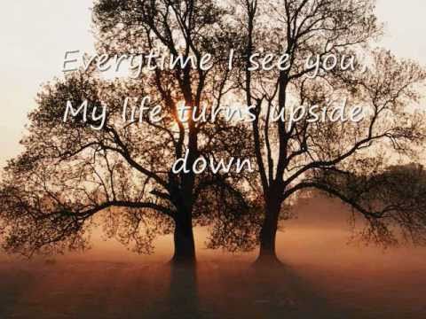 Everytime I See You - Fra Lippo Lippi