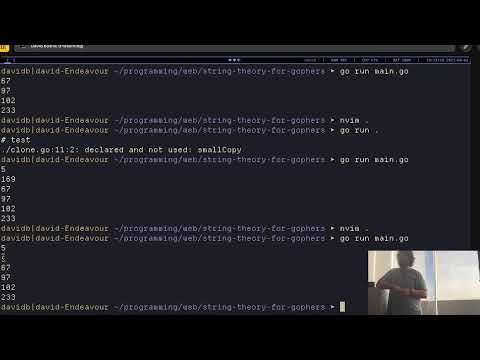 String Theory for Gophers | !meetups