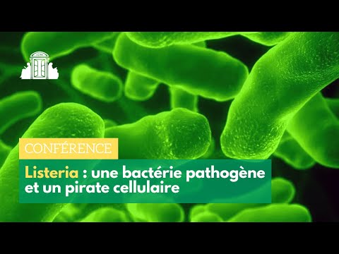 LISTERIA : BACTÉRIE PATHOGÈNE & PIRATE CELLULAIRE