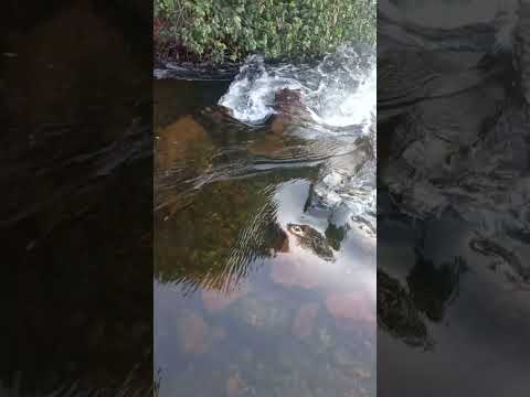 Po do sol no município de Rio Grande em sao Desiderio BA
