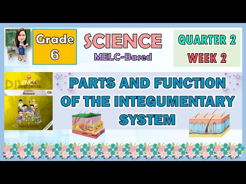 SCIENCE 6 QUARTER 2 WEEK 2 | PARTS AND FUNCTION OF THE INTEGUMENTARY SYSTEM