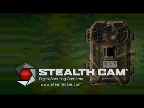 Stealth Cam Scouts When You Can't