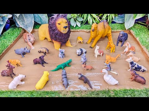 Roar and Rumble: Carnivores Wild Animals vs. Herbivores Farm Animals Showdown!