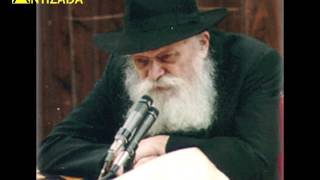 ניגון שושנת יעקב בהתוועדות של הרבי מליובאוויטש - התמונה מוצגת ישירות מתוך אתר האינטרנט יוטיוב. זכויות היוצרים בתמונה שייכות ליוצרה. קישור קרדיט למקור התוכן נמצא בתוך דף הסרטון