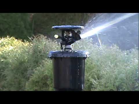 RAINBIRD Maxi Paw Sprinkler