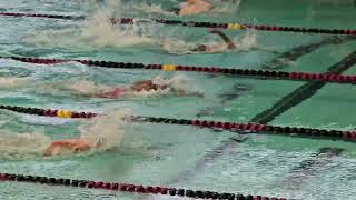 50 Free FOX LC
