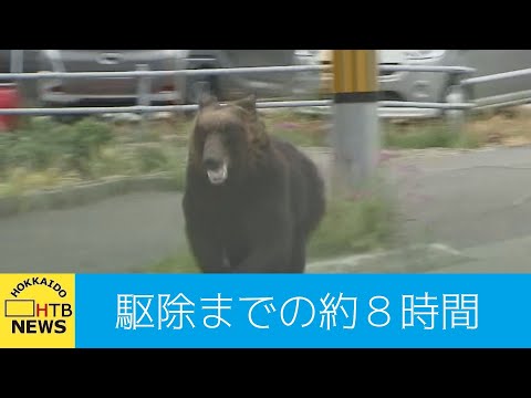 「後ろ見たらクマがバーっと来ていた&hellip;」札幌・東区の住宅街にクマ&hellip;通報から駆除までの約８時間