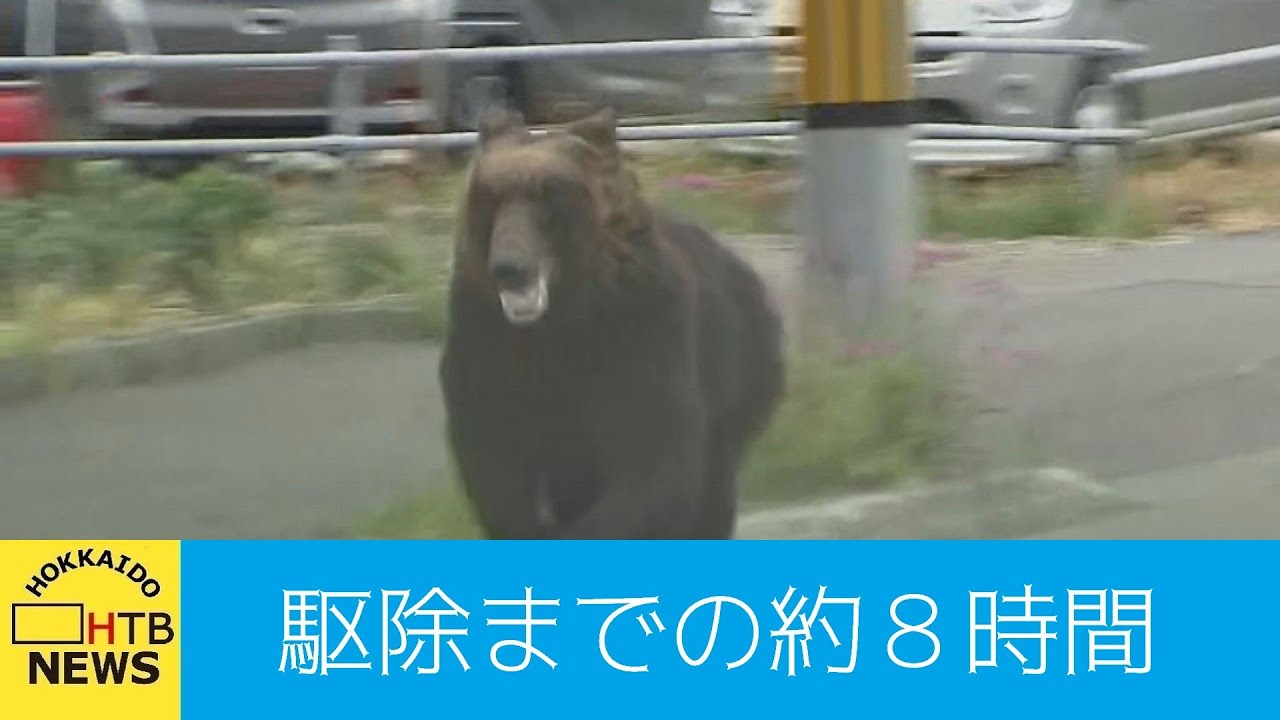 「後ろ見たらクマがバーっと来ていた...」札幌・東区の住宅街にクマ...通報から駆除までの約８時間
