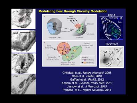 Updates on the Science Behind PTSD