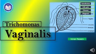 Download Lagu Trichomonas vaginalis: urogenital flagellate causing trichomoniasis | Parasitology | by Imran Yaseen Thumbnail