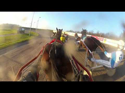 In The Sulky With... Cornelis Loman & Peppina AL