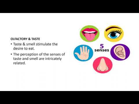 100, 101, 201 Sensory Perception