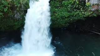 Pacific Northwest Adventures (Song: Granny Niblo By: Fair to Midland)