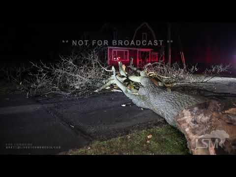 12-02-2022 Lake City, PA - Strong Winds Cause Havoc- Large Tree Misses Cars and House - Tree on Fire