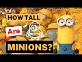 Just How Tall Are The Minions We Break Down Their Official Height