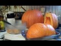 Dehydrated Pumpkin 