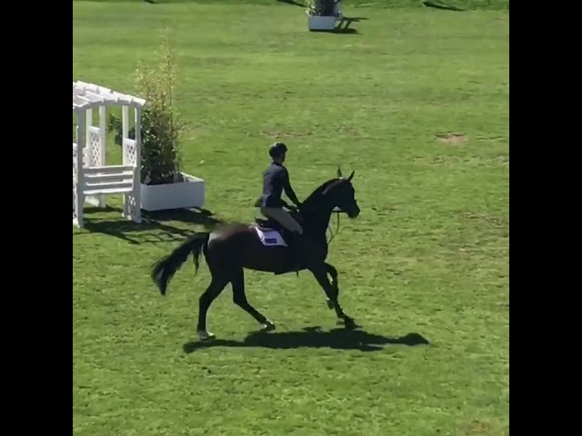 F.Termie R12 Show Video Outdoor