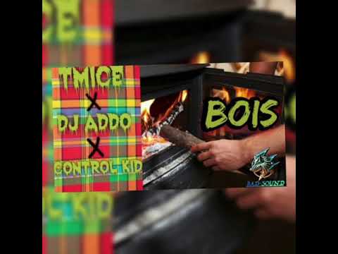 Tmice, DJ Addo, and Control Kid - Bois