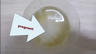 How to】 Taste Pregnancy Using Salt How to】 Taste Pregnancy Using Salt