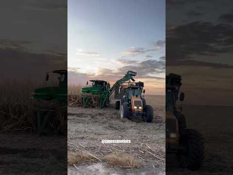 GALERA DA FRENTE 4 DA USINA PORTO RICO EM CAMPO ALEGRE ALAGOAS.