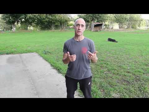 Can you learn  Bagua online