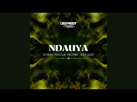 WÄRM & Amour Propre feat. Idd Aziz - Ndauya