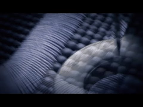 Ist caveira op? 1v4 clutch