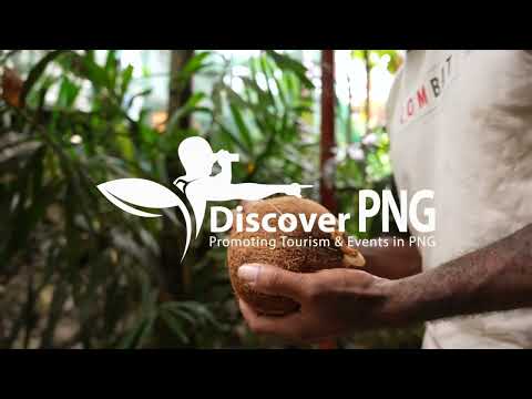 Papua New Guinea - Discover PNG cooking with Sago (Poi Kasakasa)