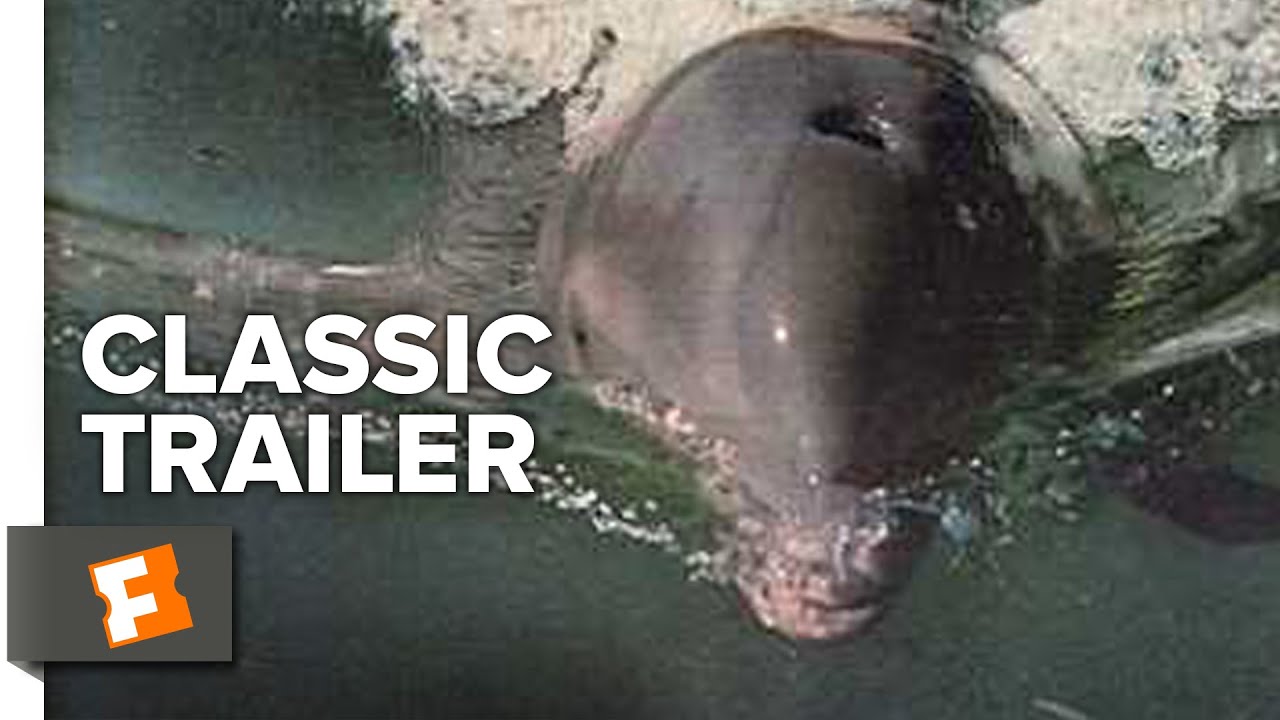 Trailer oficial de Flipper - 1ª Temporada 1080P