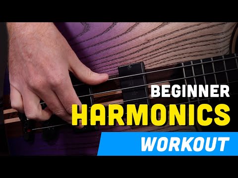 🎸Beginner Harmonics Workout: Discover the Magic of Harmonics on Bass! 🎶✨