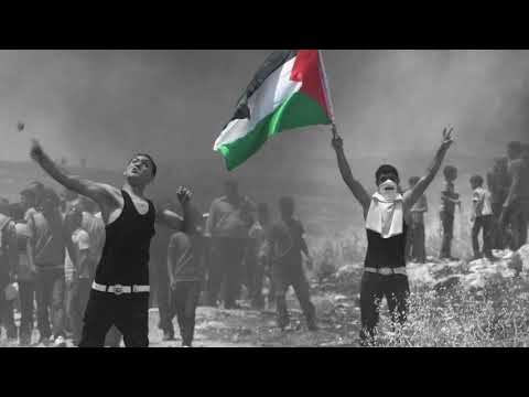 Chris o Fada - Fria Palestina ft. Fiidow