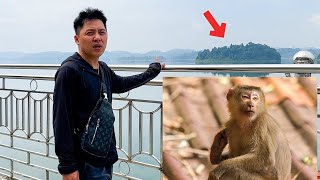Shocking News Dad goes to the new island where Monkey Kaka is discovered