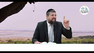 ההבטחה שהופרה | דניאל | פרק י  # 1 | הרב אליהו עמר https://www.ofakimbooks.co.il/ (הרב אליהו עמר) - התמונה מוצגת ישירות מתוך אתר האינטרנט יוטיוב. זכויות היוצרים בתמונה שייכות ליוצרה. קישור קרדיט למקור התוכן נמצא בתוך דף הסרטון